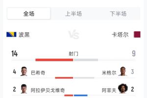 波黑3-1卡塔尔全场数据：射门14次对9次，射正5次对3次，角球5-5，黄牌0-1